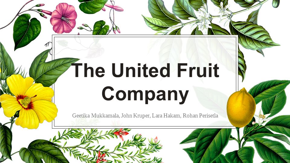 Ufcothe united fruit company was an